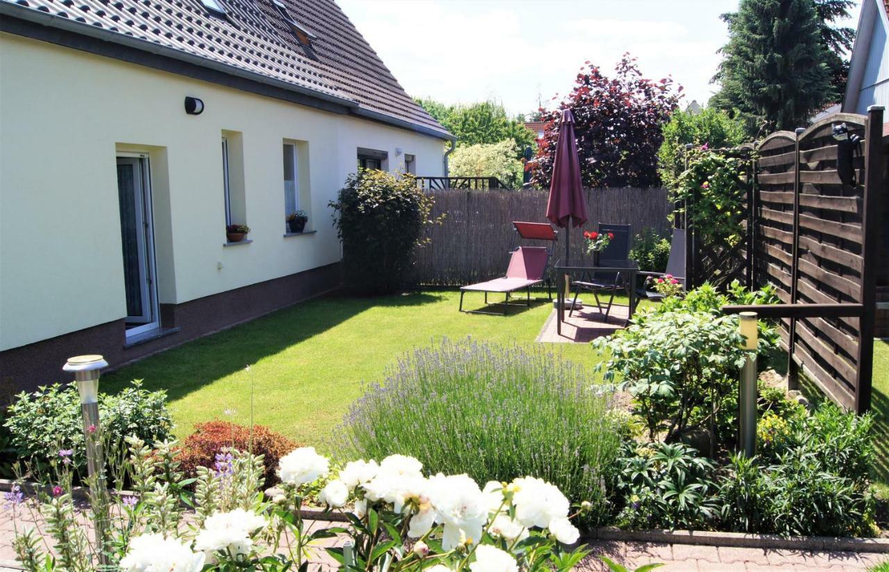 Villa Ferienhaus Dora à Rechlin Extérieur photo